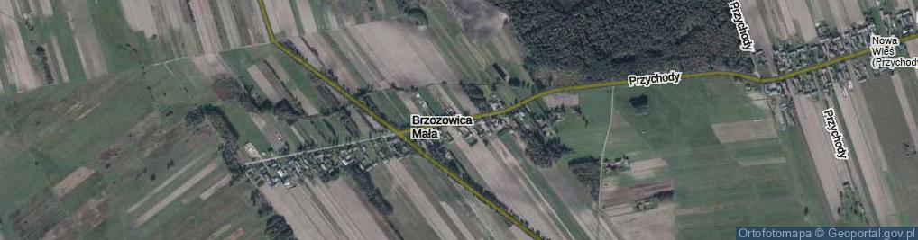 Zdjęcie satelitarne Brzozowica Mała ul.